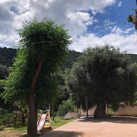 Appartamento Maremontagna كارديدو المظهر الخارجي الصورة