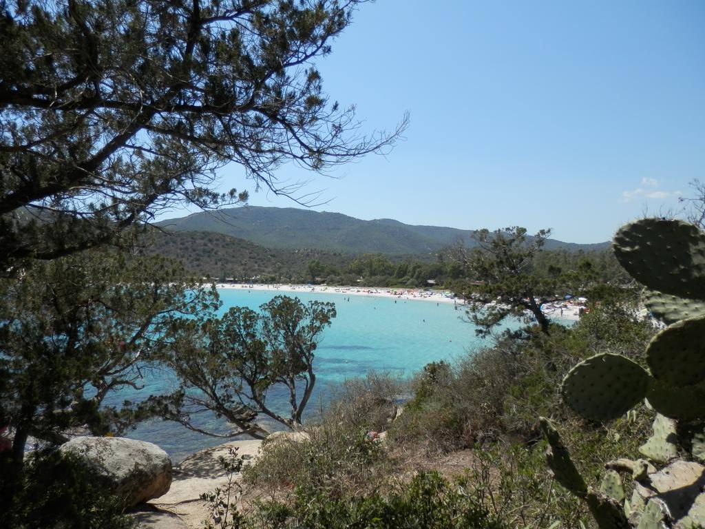 Appartamento Maremontagna كارديدو المظهر الخارجي الصورة